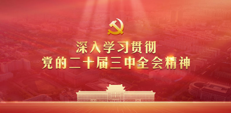 深入学习贯彻党的二十届三中全会...